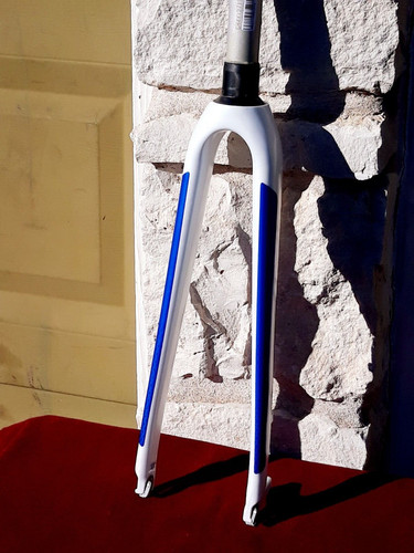 Forcella disco carbonio giant - forcella,