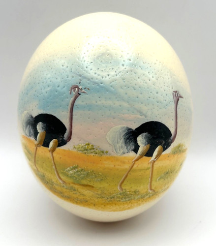 Large hand painted ostrich egg - large,