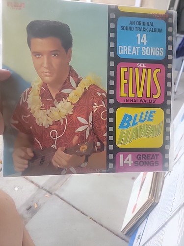 Elvis presley in hal - presley,