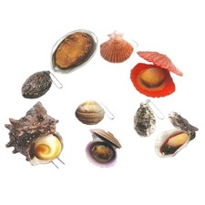 Puniutto Open Shell Grigliato