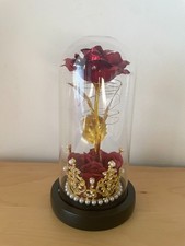 Rosa eterna con luci LED sotto campana di vetro, regalo romantico