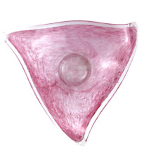 Ciotola Vetro Artigianale Lavorazione Artistica Maestri Vetrai Made In Italy