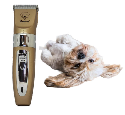 Macchinetta cani pelo - , cane