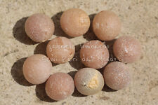 ALBERO DEL DRAGO - DRACAENA