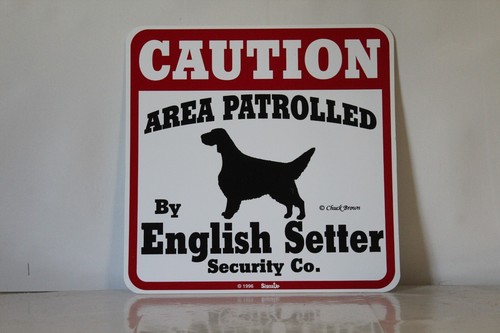 Insegna cane setter - cane, inglese