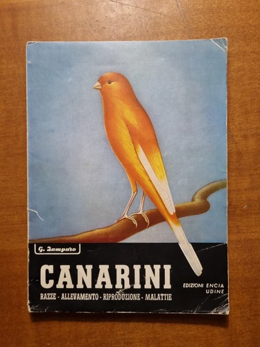 Canarini razze allevamento - -,