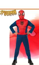 Costume Uomo Ragno Spiderman
