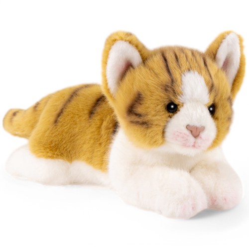 Gatto sdraiato