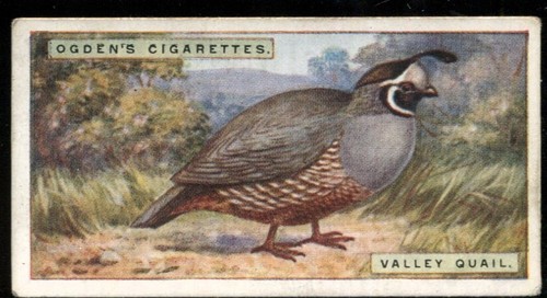 Tobacco card ogdens - tobacco, foreign