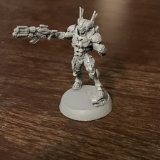 Corvus Belli Infinity nomade