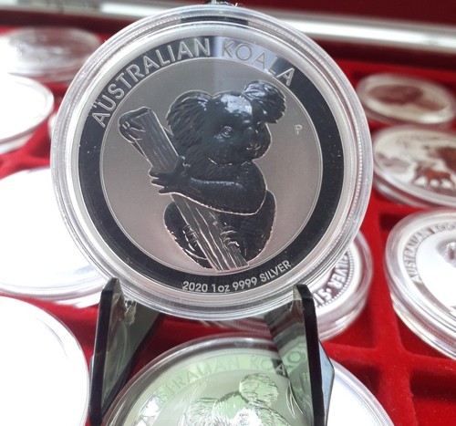 Australia koala 2020 - -, oz