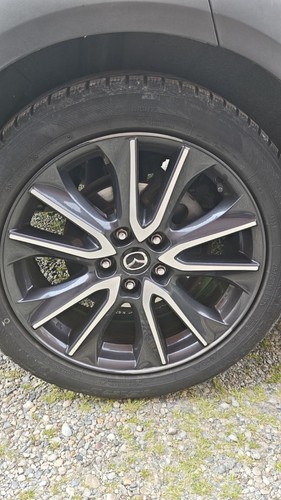 Cerchi lega mazda - in,
