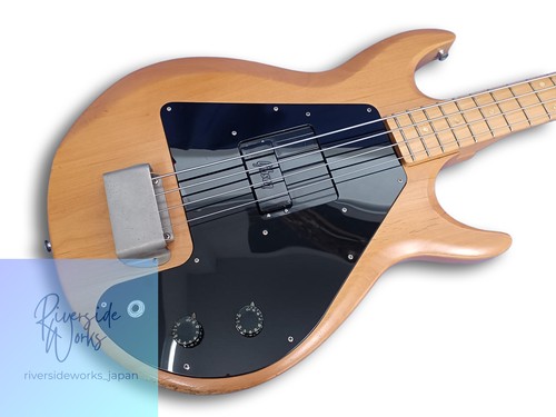 Basso elettrico gibson the - basso,