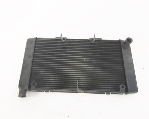 Radiatore acqua honda 600 - acqua, cb