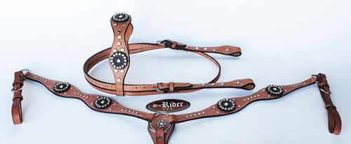 Show tack bridle - show, pelle