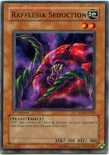Rafflesia Seduction -