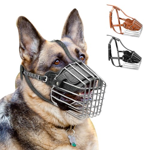 Nuova museruola per cani san - nuova,