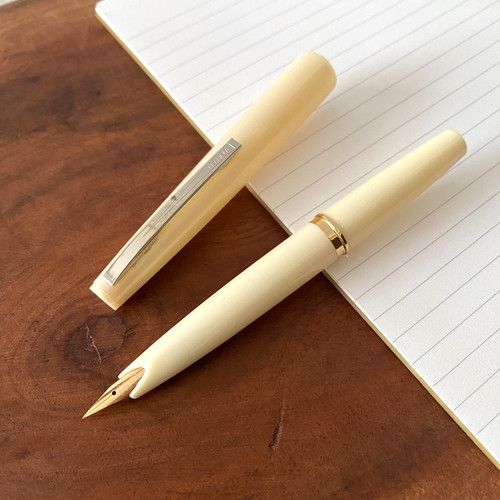 Penna stilografica tascabile