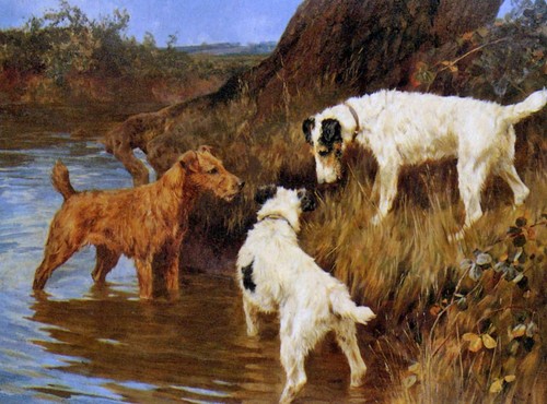 Tre terrier profumo - tre, un