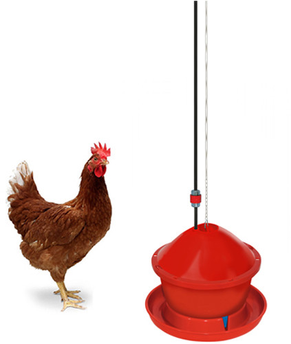 Abbeveratoio per polli galline