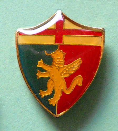 Raro distintivo spilla pin - raro,