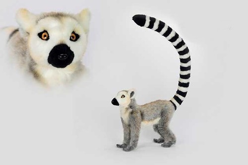 Standing ringtail lemur 6854 - ringtail,