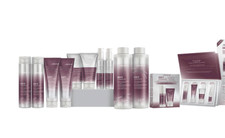 Joico Defy Protezione Danni -