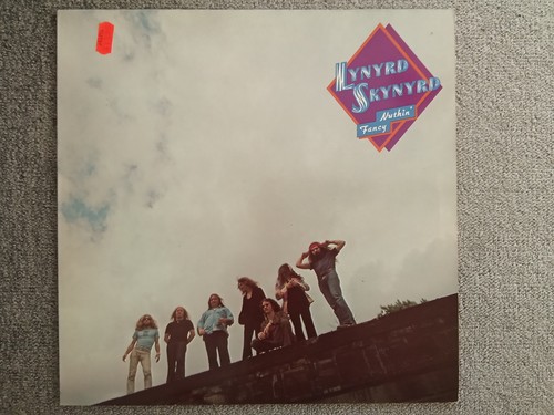 Lynyrd skynyrd nuthin fancy - nuthin',