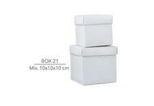 10 Scatole Bianche in cartone