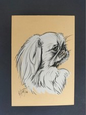 PECHINESE RAZZE CANINE