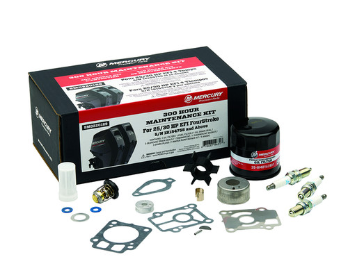 Mercury kit manutenzione 300 - kit,