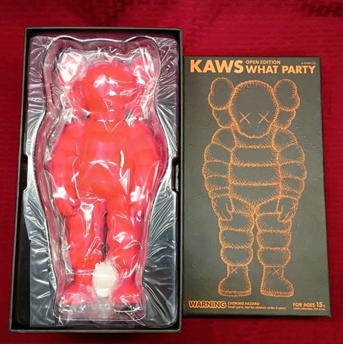 Kaws what party orange - kaws,