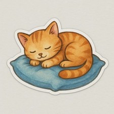Gattino che dorme su cuscino