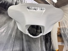 Carena esterna pipistrello