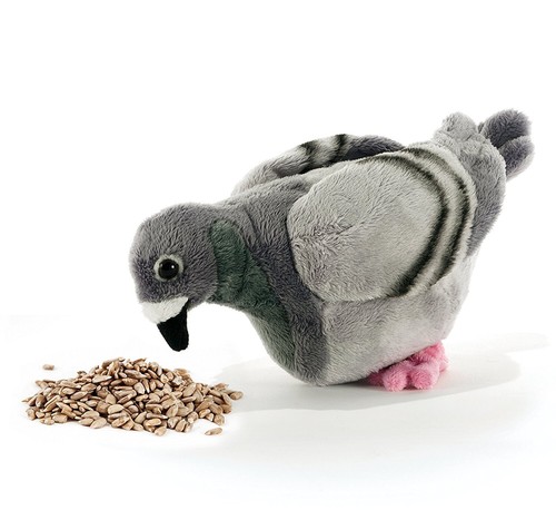 Peluche piccione plush - piccione, &