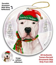 Dogo Argentino Santa's Helper