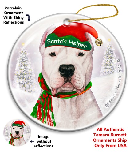 Dogo argentino santa - dogo, helper
