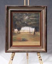 Quadro PAESAGGIO - RABOTTI 