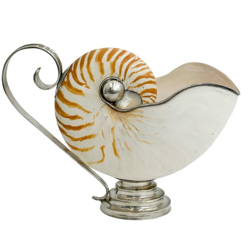 Barca con salsa nautilus shell - barca,