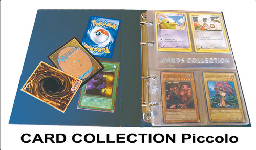 Raccoglitore card collection - raccoglitore,