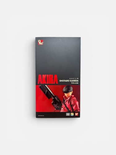 Project kaneda shotaro - project, bm