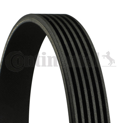 Continental ctam 6pk900 - continental,