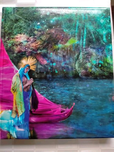 David lachapelle catalogo - david,