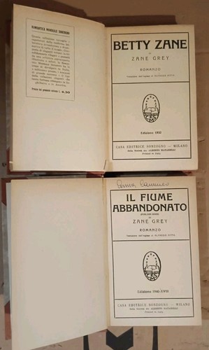 Lotto libri zane - 2, grey