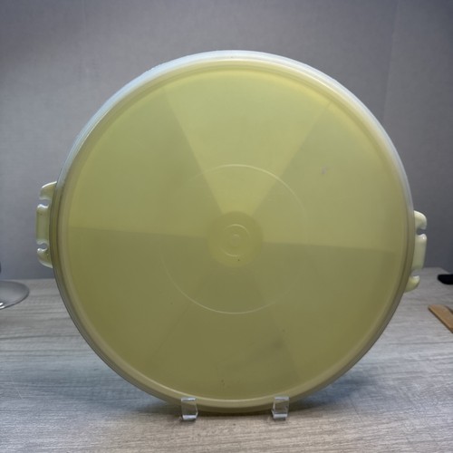 Tupperware millionaire lime