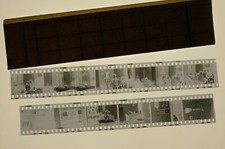 Negativi b/n 24x36 anno 1981 -