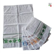 Strofinacci Asciughini