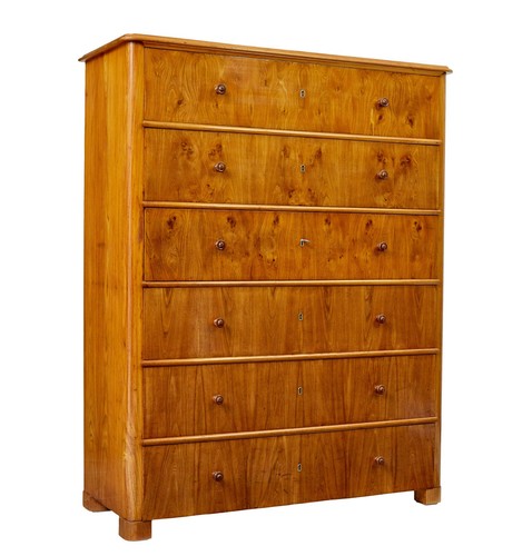 Tall 19th century elm - tall,