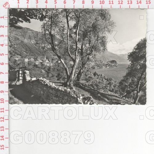 G8879 lecco oliveto lario - oliveto,