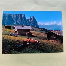DOLOMITI - ALPE DI SIUSI - LO